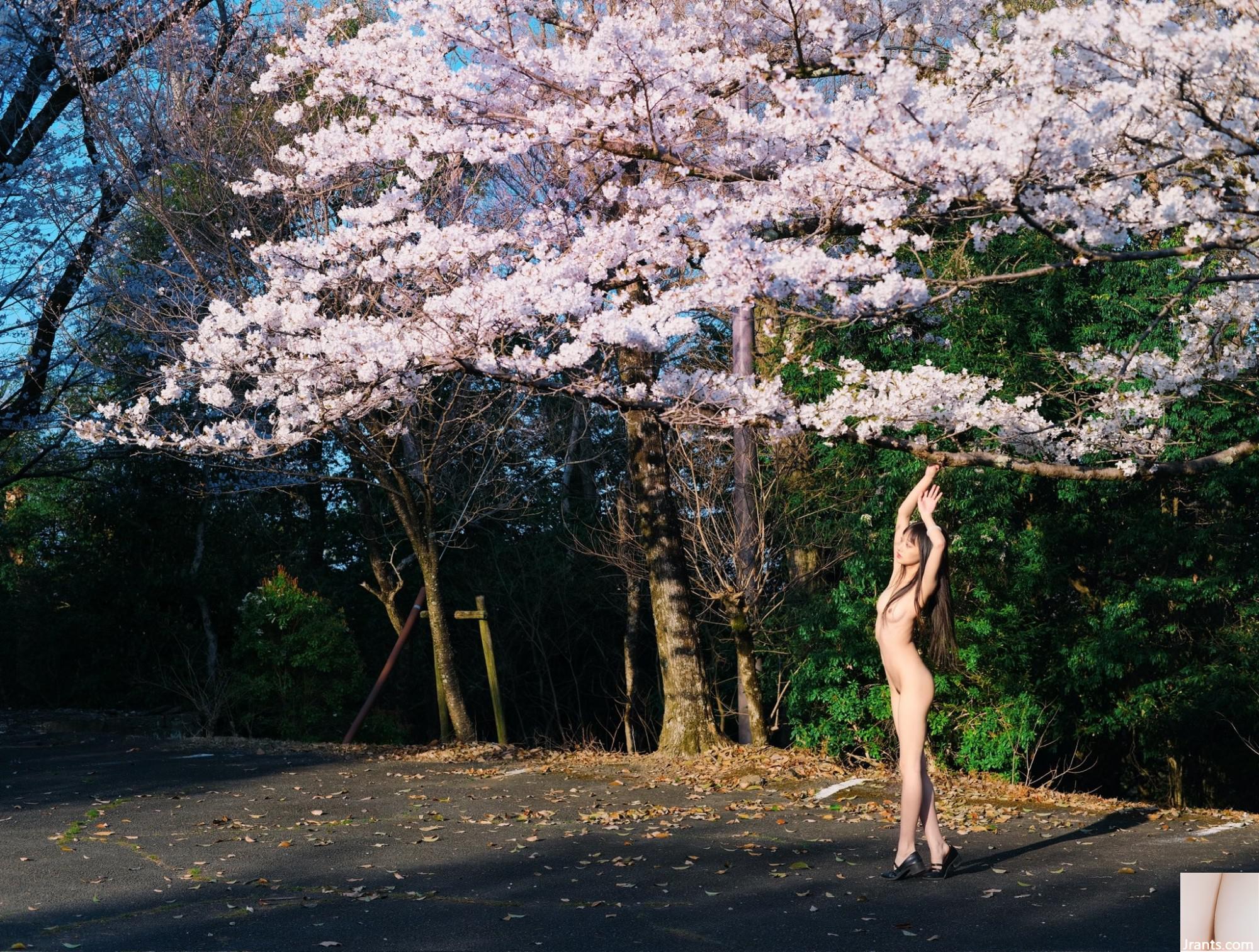 (Nhiếp ảnh gia) @LINSIVVI (84P) - Ảnh 11