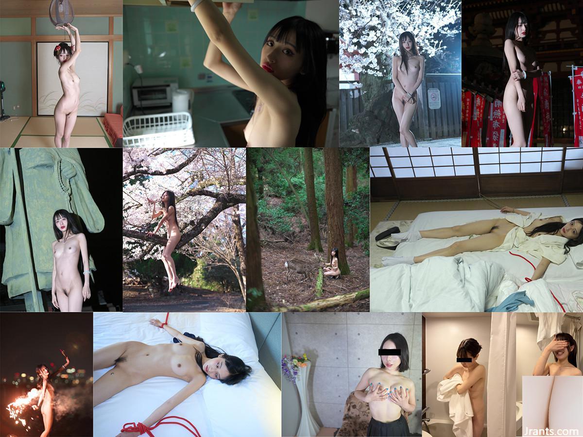 (Nhiếp ảnh gia) @LINSIVVI (84P) - Ảnh 2