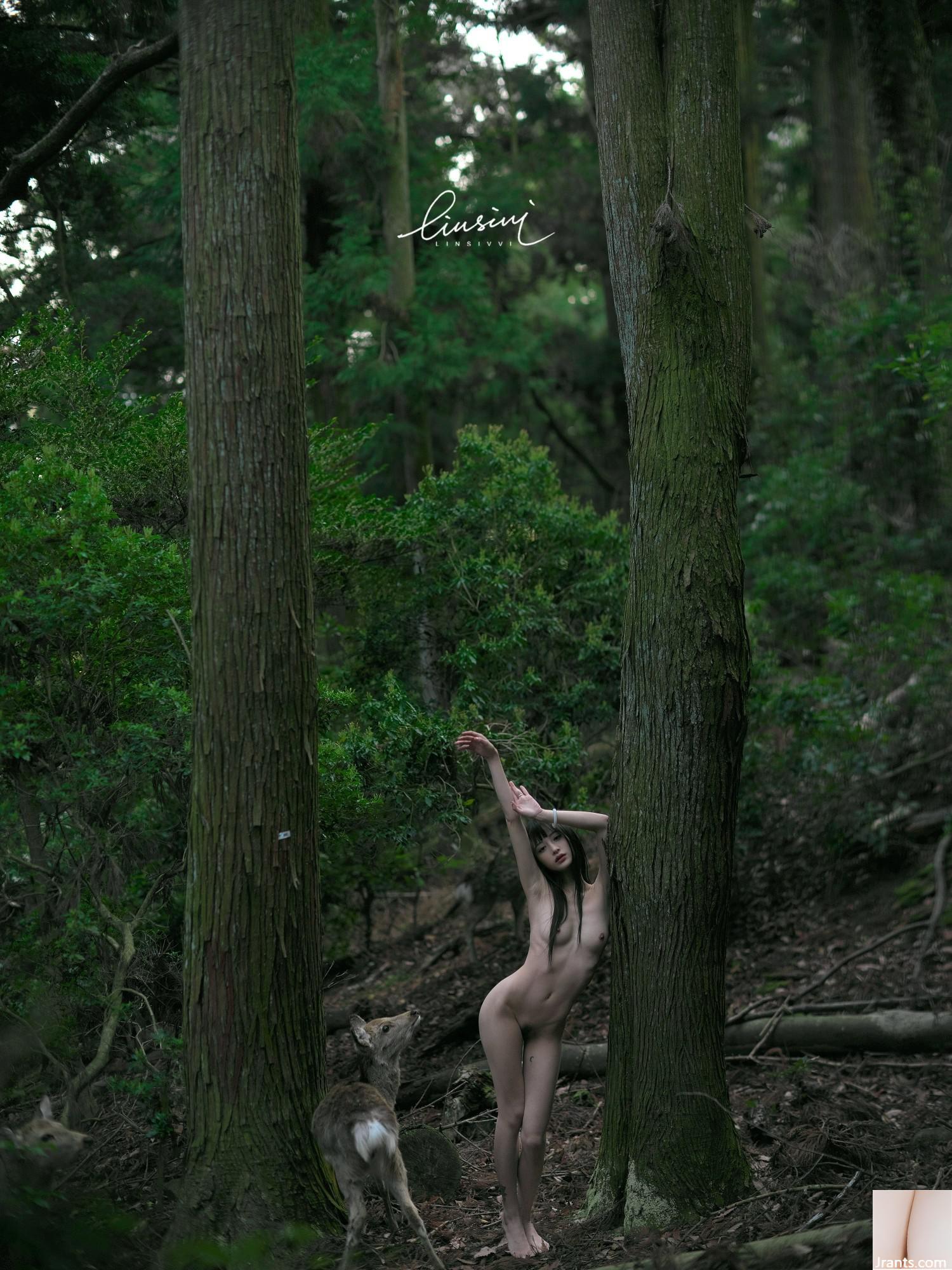 (Nhiếp ảnh gia) @LINSIVVI (84P) - Ảnh 5