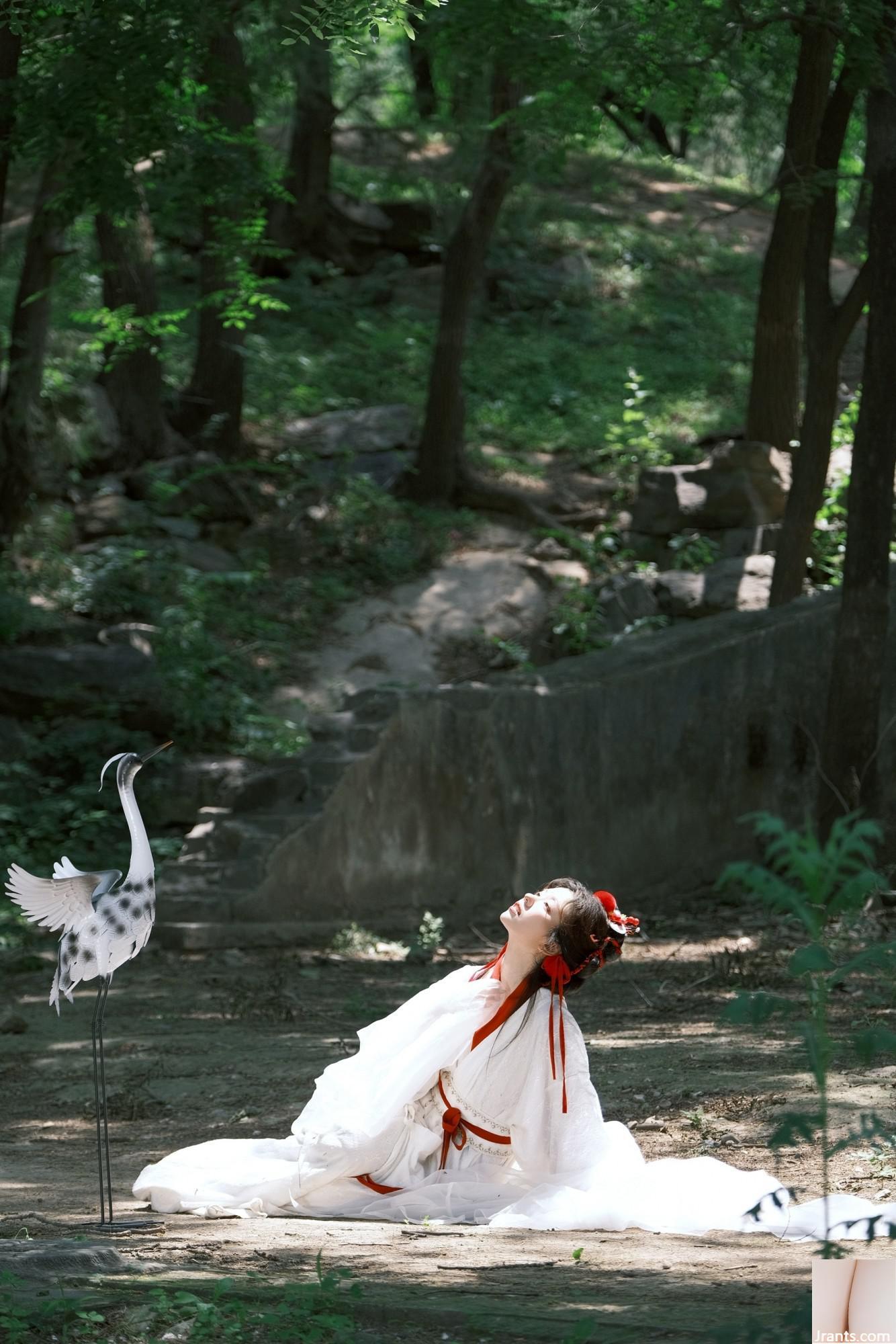 Cần cẩu (44p) - Ảnh 10