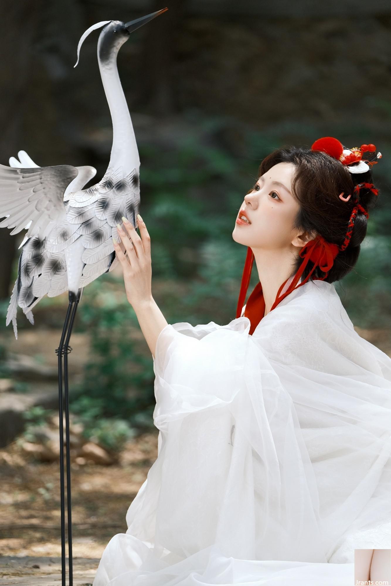 Cần cẩu (44p) - Ảnh 13