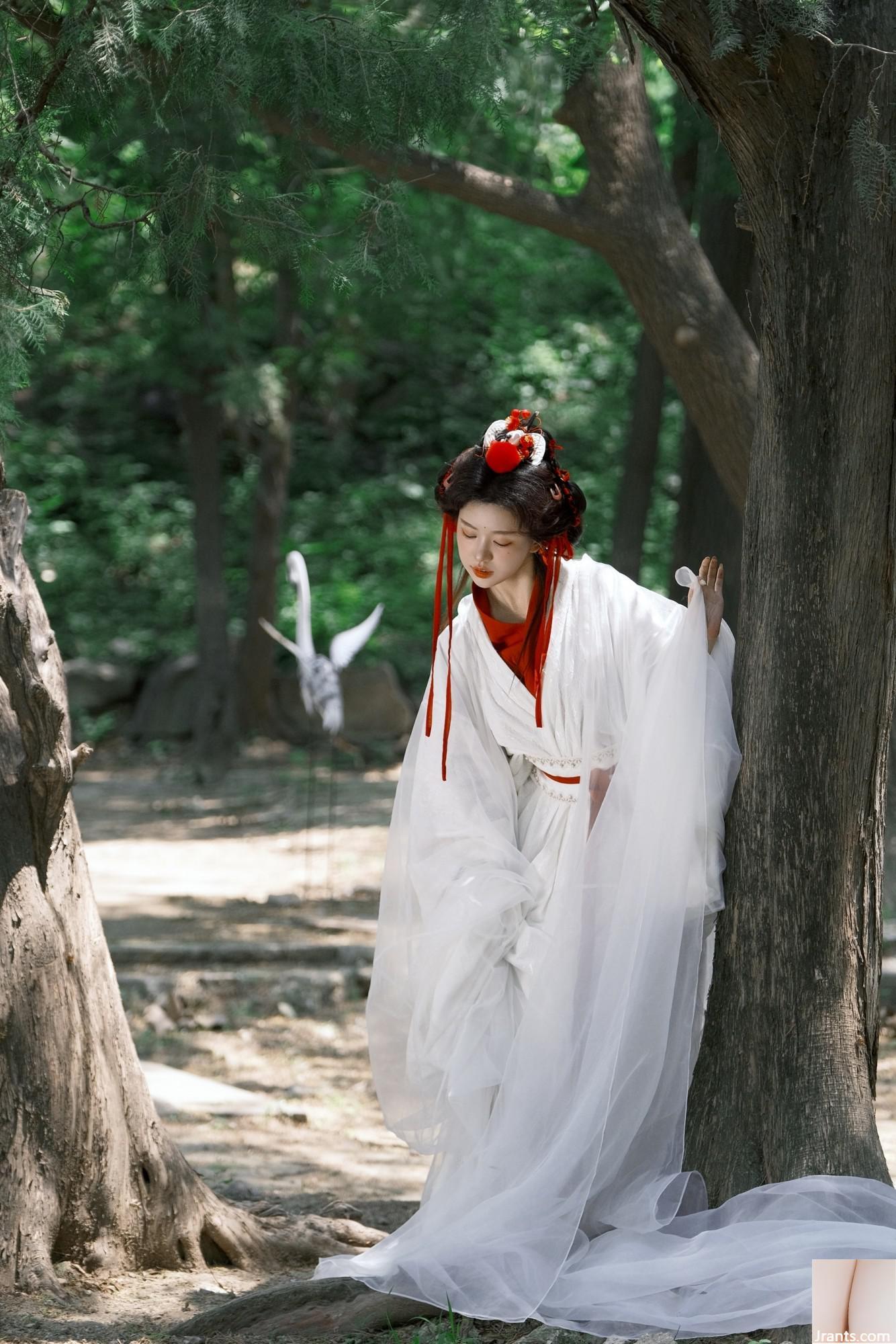 Cần cẩu (44p) - Ảnh 15