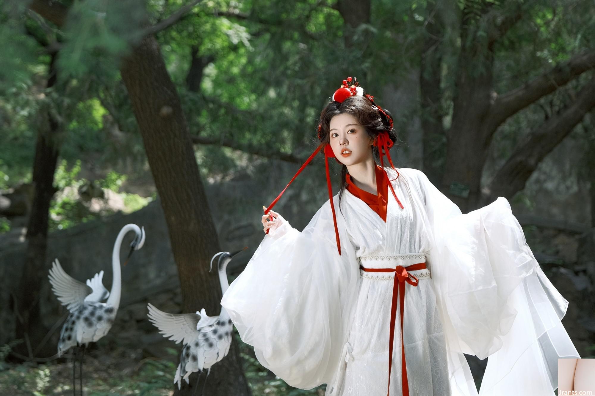 Cần cẩu (44p) - Ảnh 18