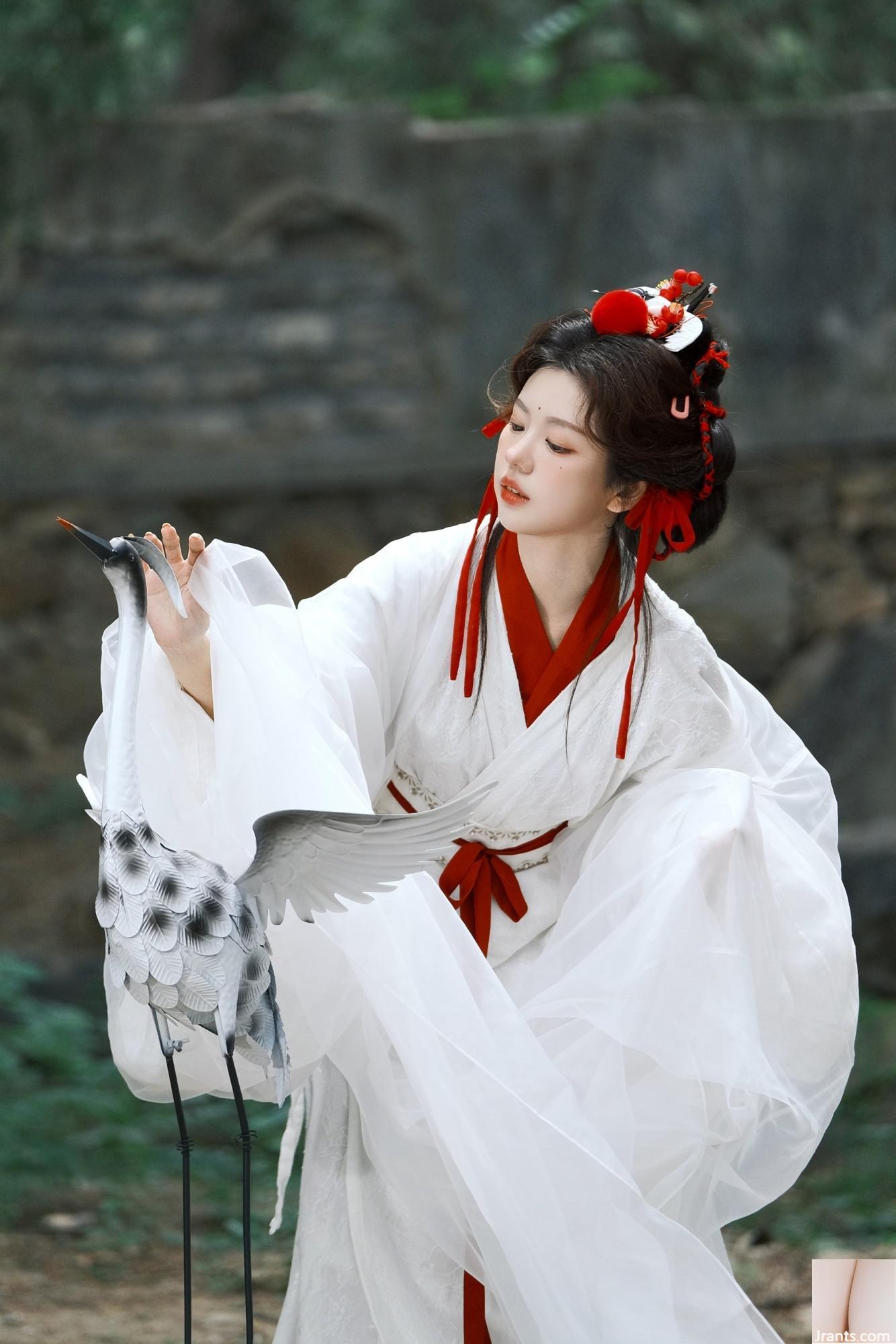 Cần cẩu (44p) - Ảnh 4