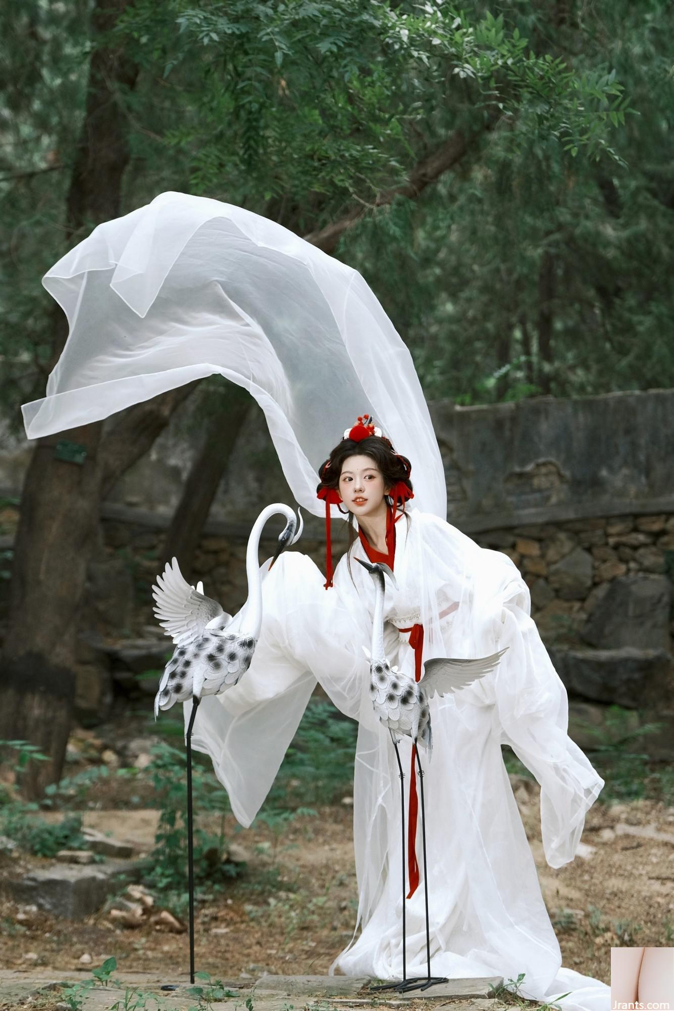 Cần cẩu (44p) - Ảnh 9