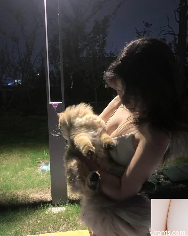 “Aisha” có phải là một nhân vật vật lý khoa học? (10p) - Ảnh 5