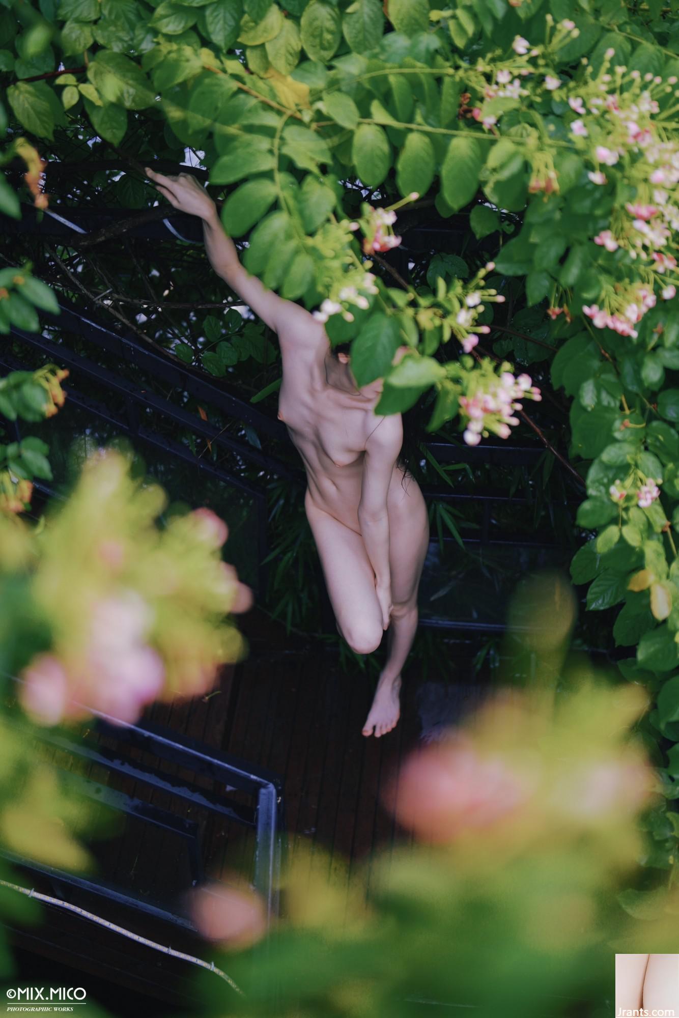 (Nhiếp ảnh gia)@Mixmico3 (24p) - Ảnh 15