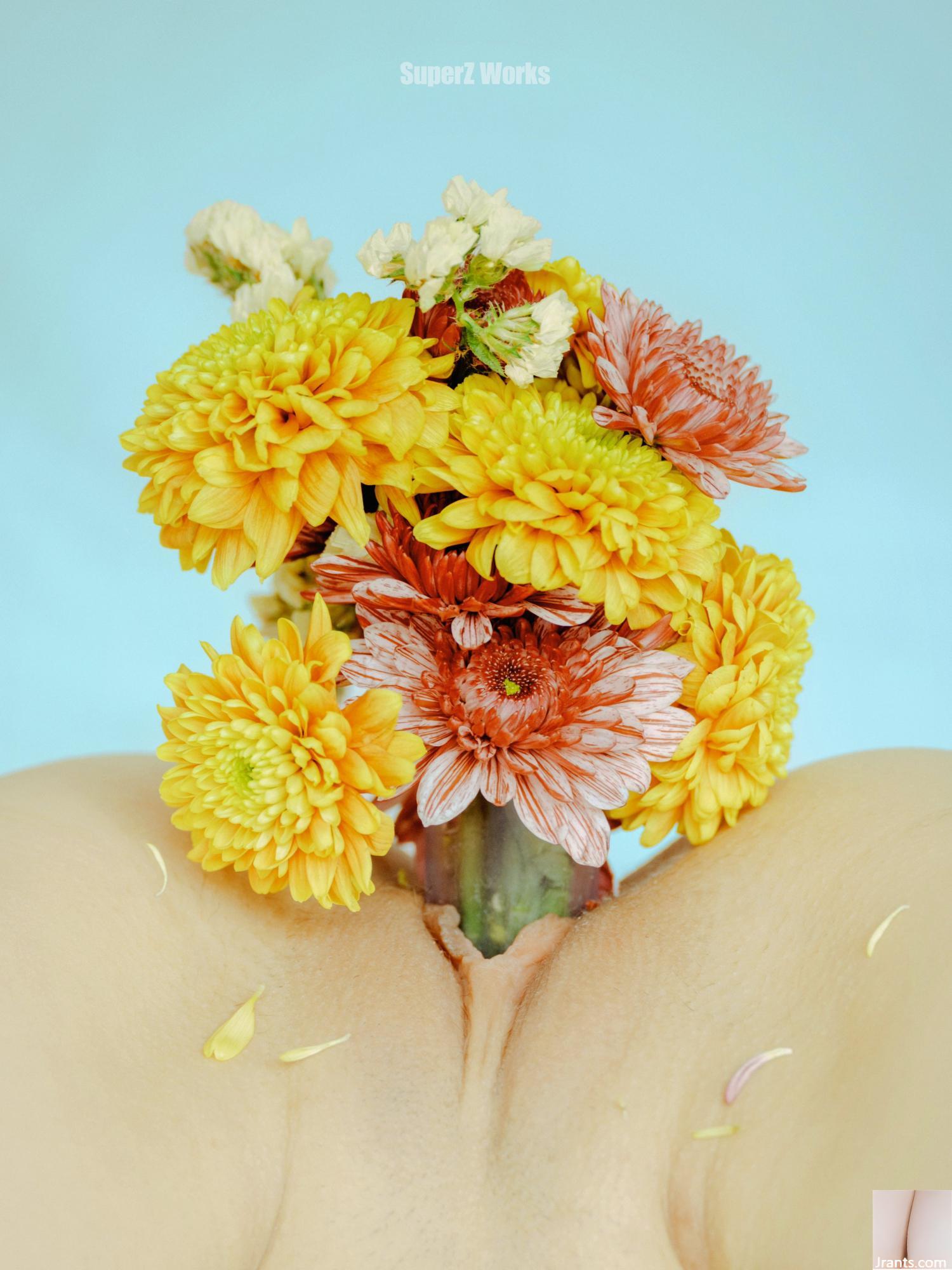 (Nhiếp ảnh gia)@Violetbaby2004 (100p) - Ảnh 9