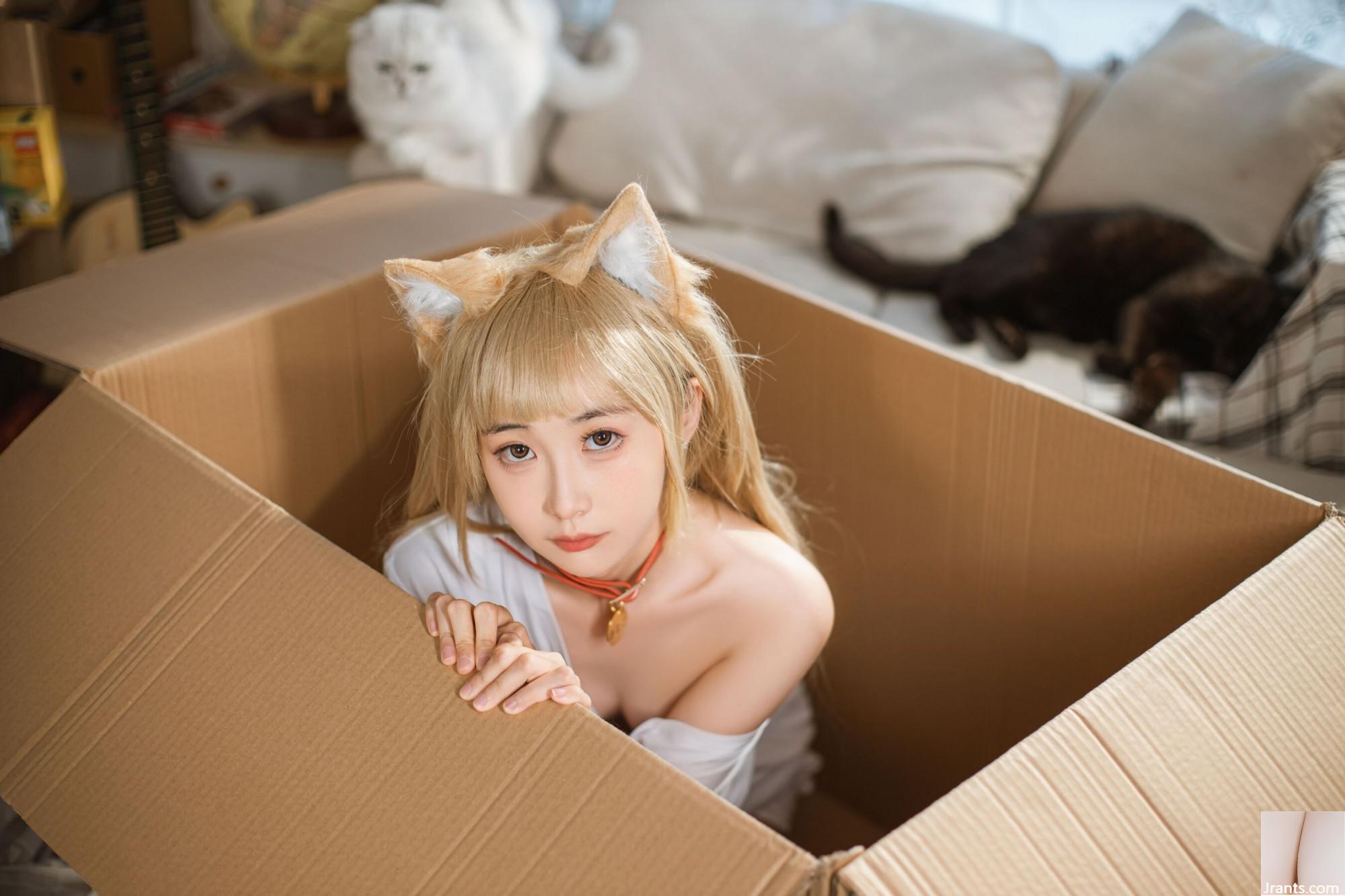 Goldfish Kinngyo “Cat” (57p) - Ảnh 2