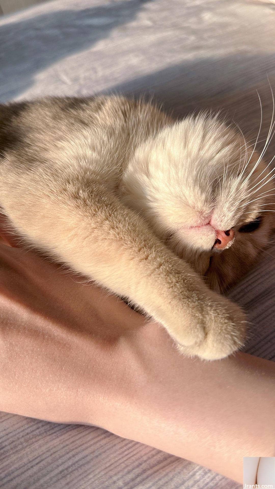 “Yangyang” toát ra một tính khí đầy đủ, ngọt ngào và cay (24p) - Ảnh 13