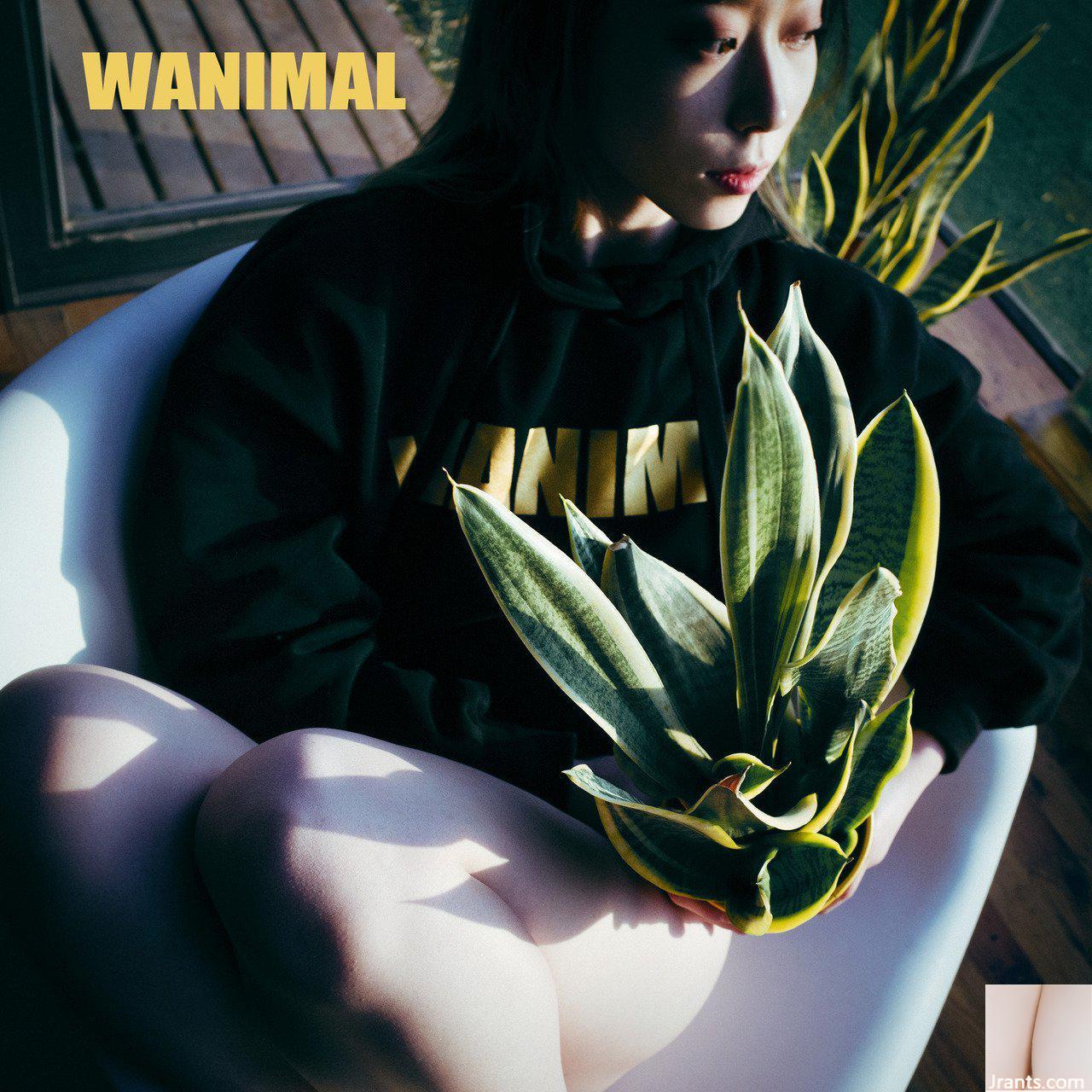 (Tác phẩm của Wang Dong) WANIMAL Tumblr photos (120) (48P) - Ảnh 4