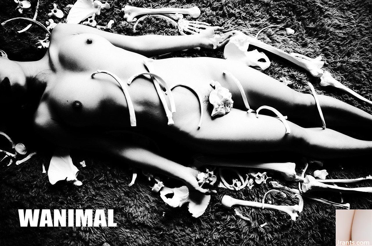 (Tác phẩm của Wang Dong) WANIMAL Tumblr photos (123) (32P)