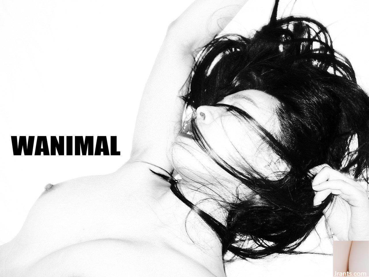 (Tác phẩm của Vương Đông) Bộ sưu tập ảnh WANIMAL Tumblr (107) (50P) - Ảnh 13