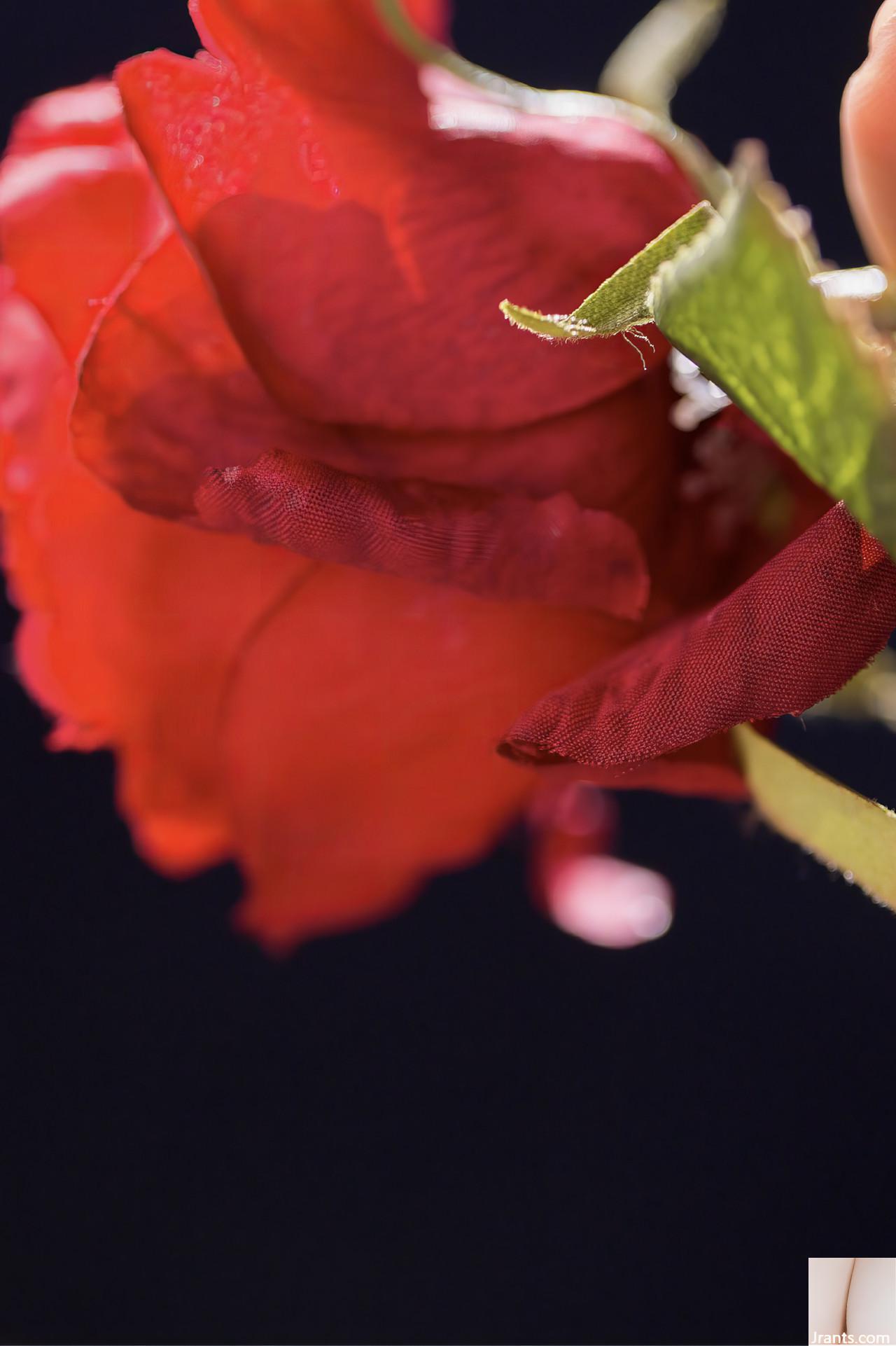 (Dashi ひびき) Hương vị nóng rất thú vị đến nỗi cảm giác nóng và đói (31p) - Ảnh 19