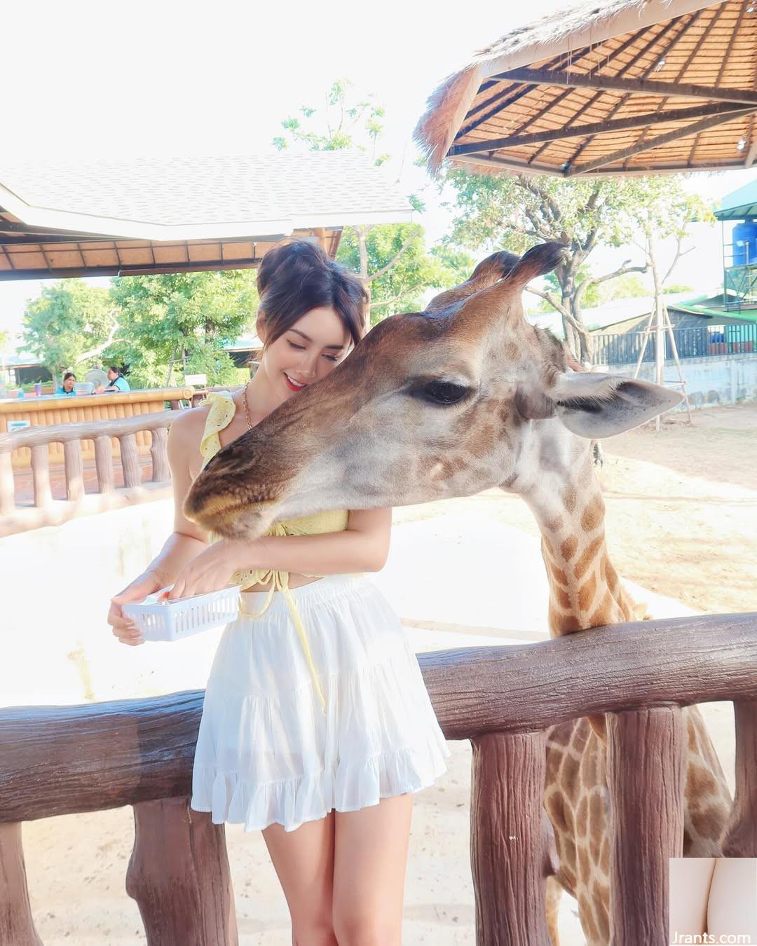 Devil Little Devil “Xia Qing” có một nhân vật trắng và dịu dàng sẽ chinh phục bạn (35p) - Ảnh 8