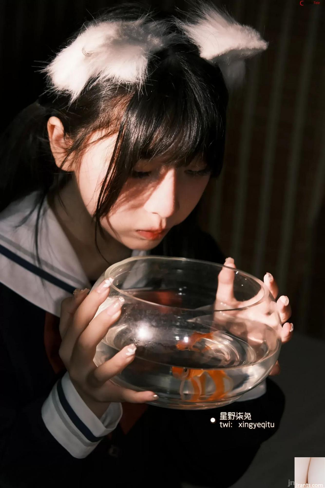 Hoshino Qitu – Cô gái sau giờ học (59P) - Ảnh 19