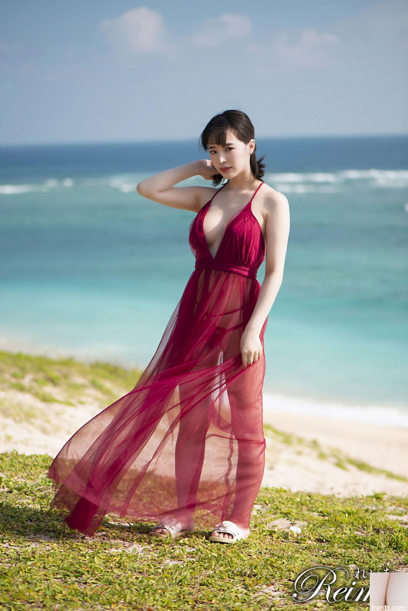 ((Áo choàng Nhật Bản) Tsubaki Sannomiya《Reimu Vol.03》(112P) - Ảnh 2