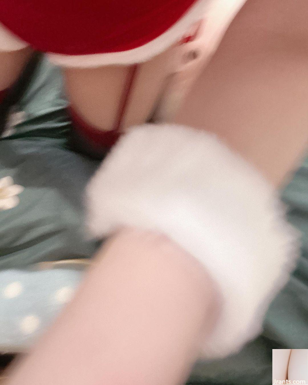 Cây con cong “Waiwai” đều đẹp (27p) - Ảnh 5