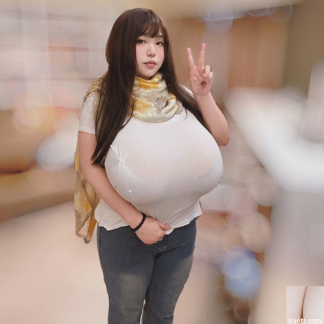 Bức tranh công bằng rất hấp dẫn và “so sánh” không khoa học (22p) - Ảnh 10