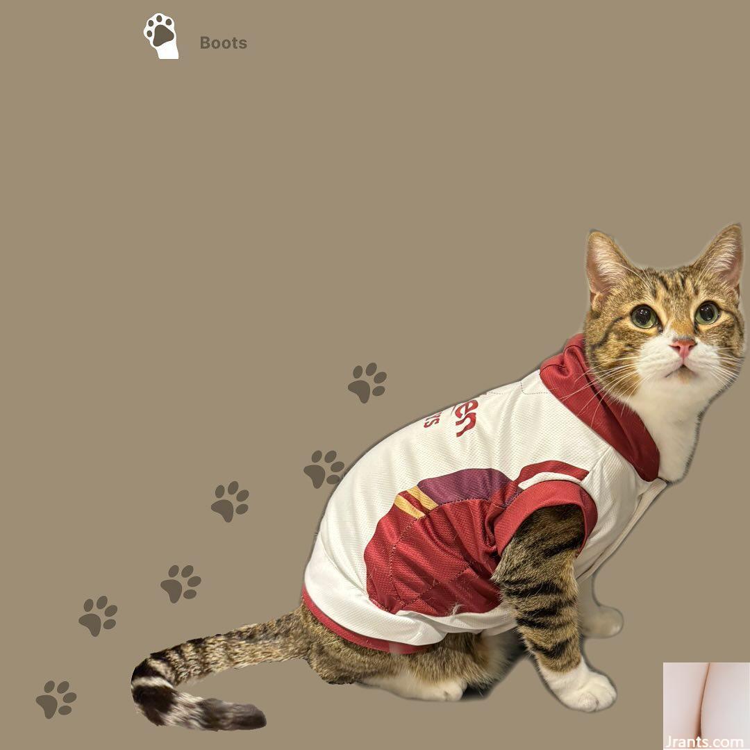 Tính khí hoàn toàn “Rina Xie Aina” với phong cảnh đẹp với sự phát triển tốt (15p) - Ảnh 12