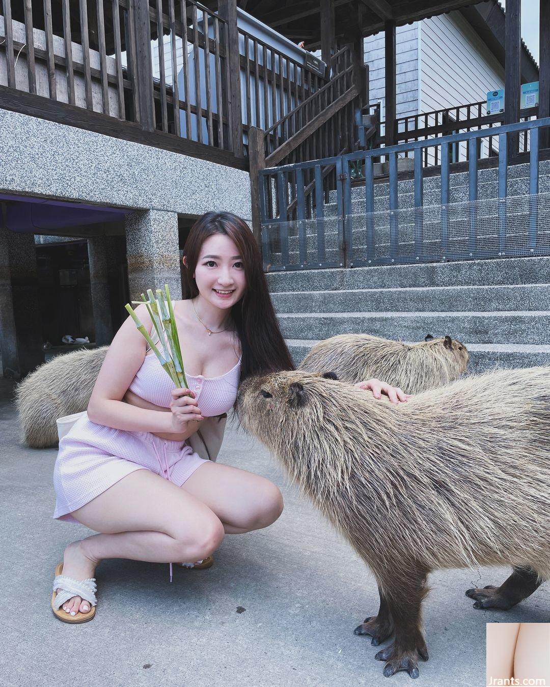 Sinh ra để trở nên xinh đẹp (trang web của Marienn_yang “gọi Fairy giảm dần xuống Trái đất (25p)