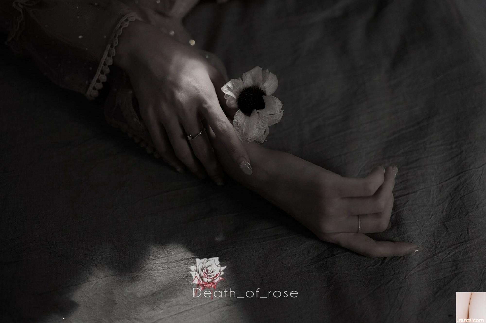 Tác phẩm “Trà mùa hè” của nhiếp ảnh gia IES (62P) - Ảnh 4