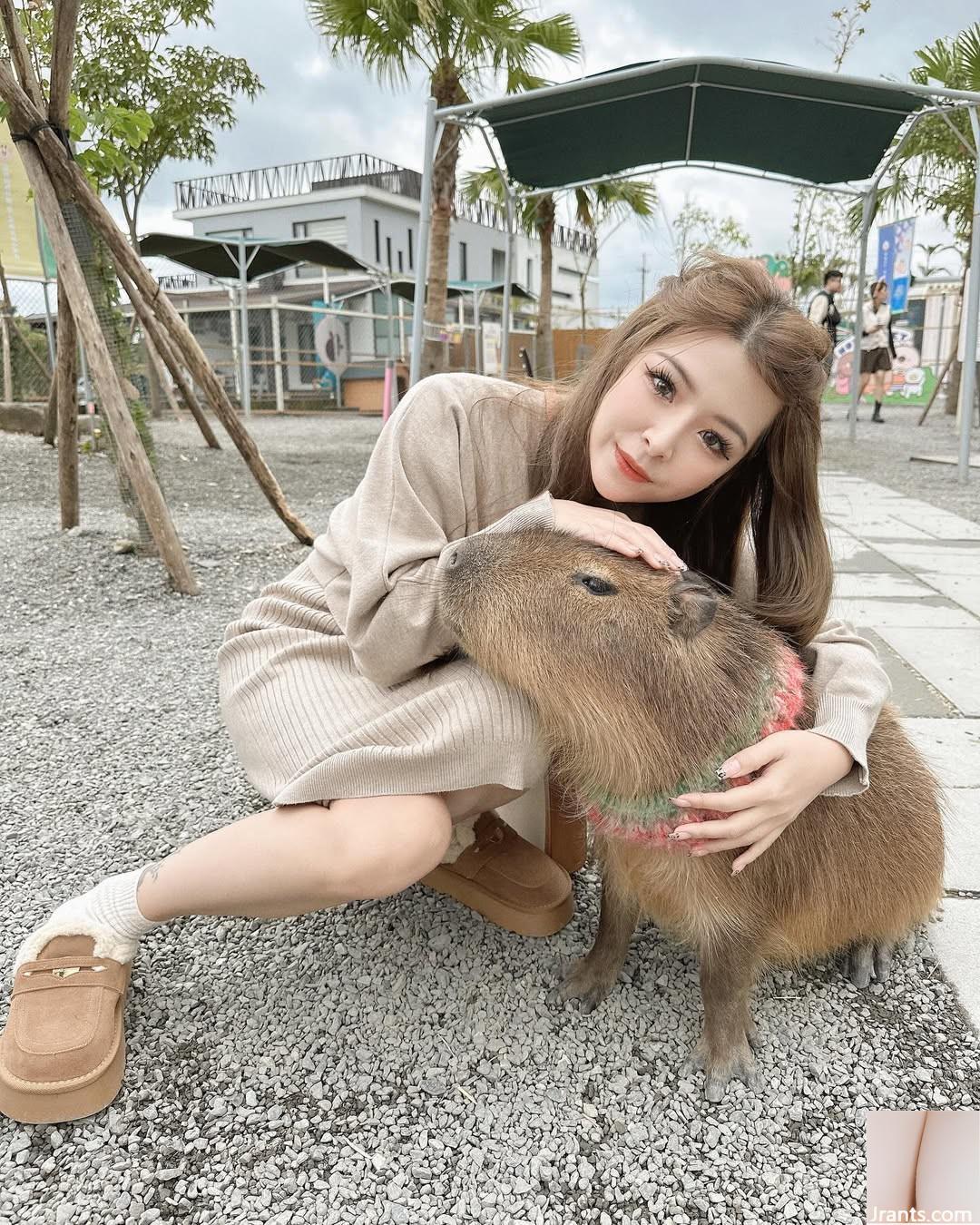 Vòng cung hoàn hảo “Yifeng Zheng” Thật dữ dội khi có chu vi đầy đủ! - Ảnh 13