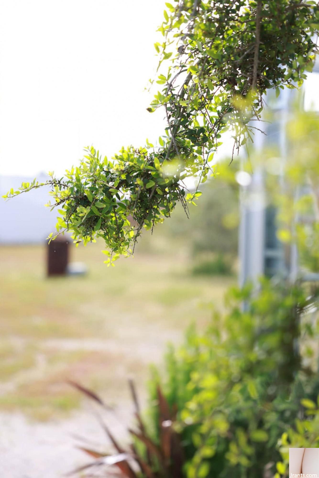 8 nữ cuối cùng Washio Mei (73p) - Ảnh 2