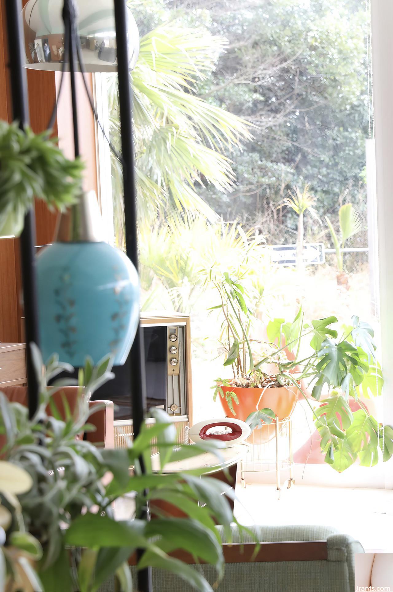 Cả hình và ngoại hình đều tốt đến mức chúng quá tốt để “cừu yang” ngực trắng và mềm (77p) - Ảnh 12