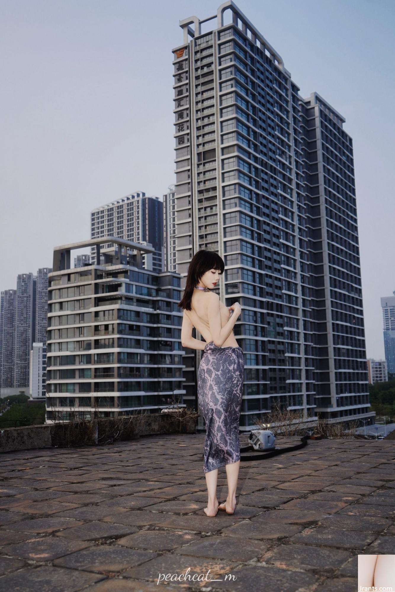 (Người đẹp Twitter) @peachcat_m (70P) - Ảnh 2