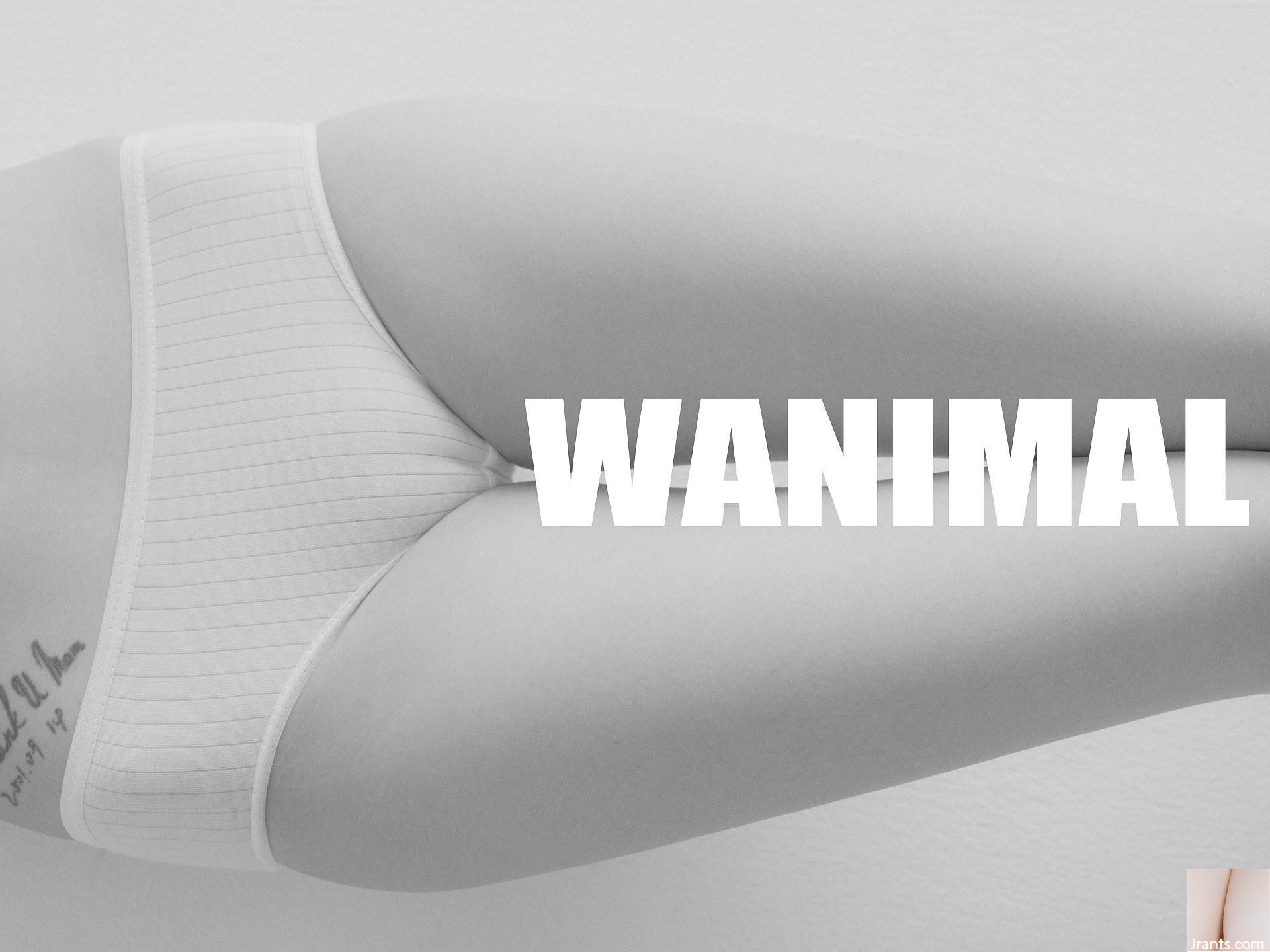 (Nhiếp ảnh gia)@WANIMAL912(159P) - Ảnh 111