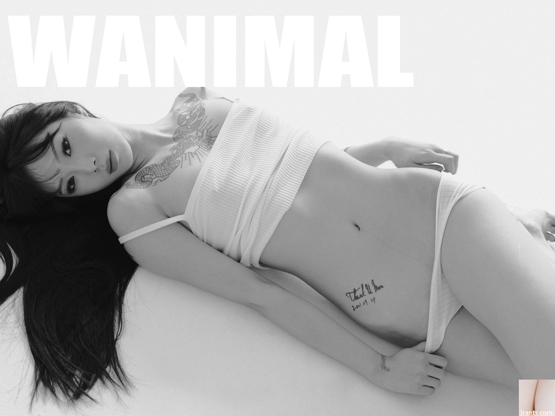 (Nhiếp ảnh gia)@WANIMAL912(159P) - Ảnh 112