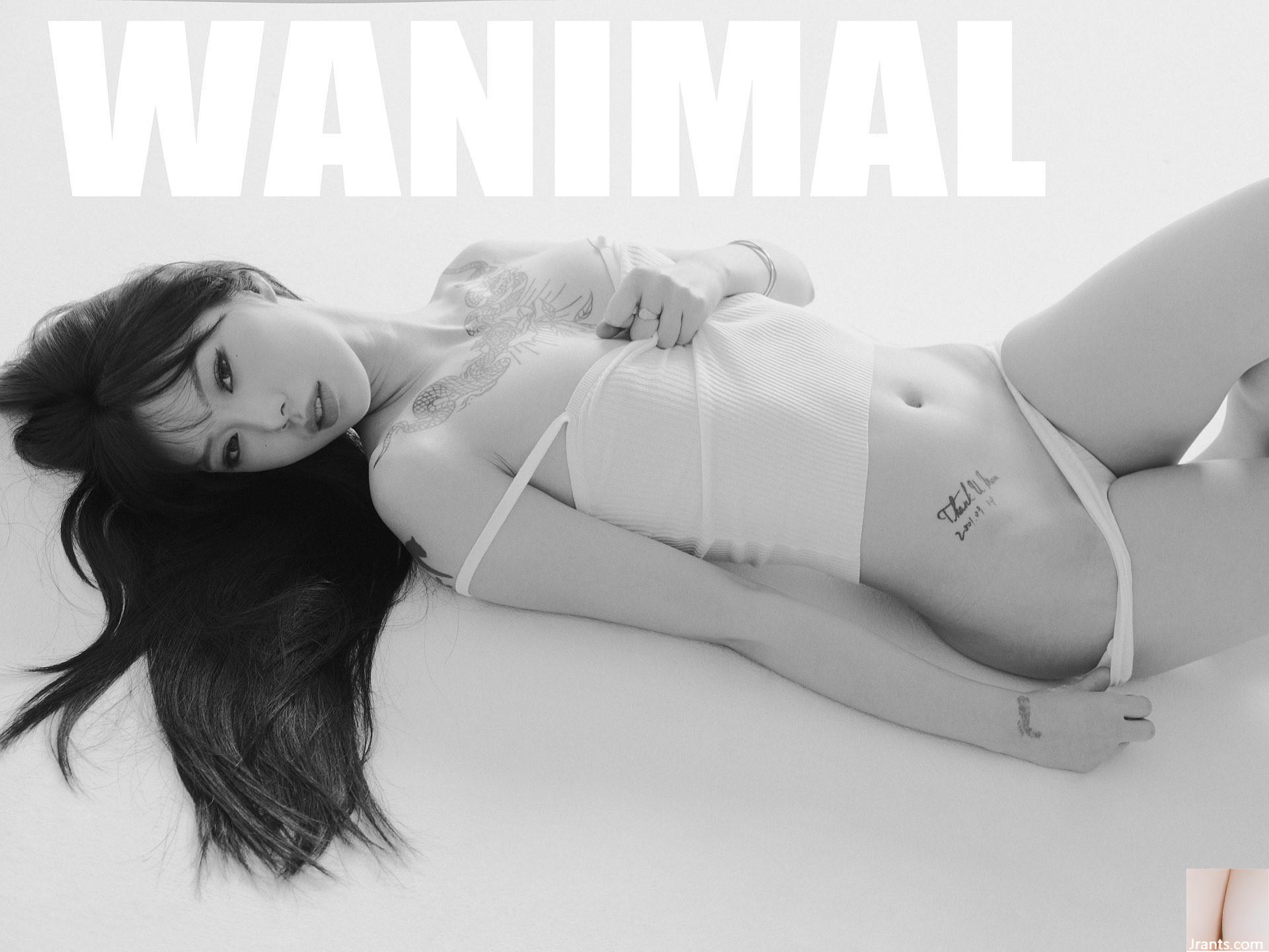 (Nhiếp ảnh gia)@WANIMAL912(159P) - Ảnh 113