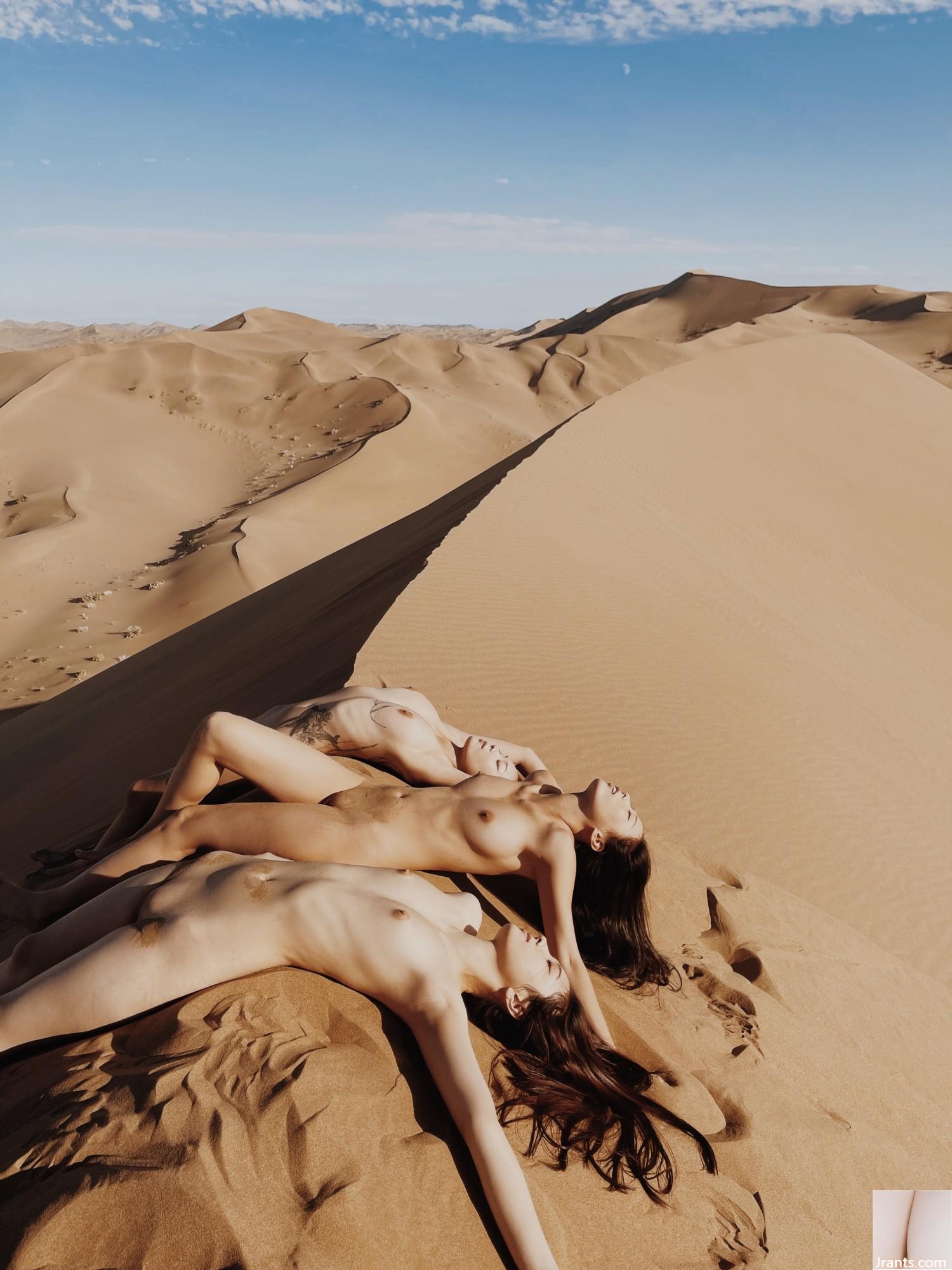 (Nhiếp ảnh gia)@WANIMAL912(159P) - Ảnh 129