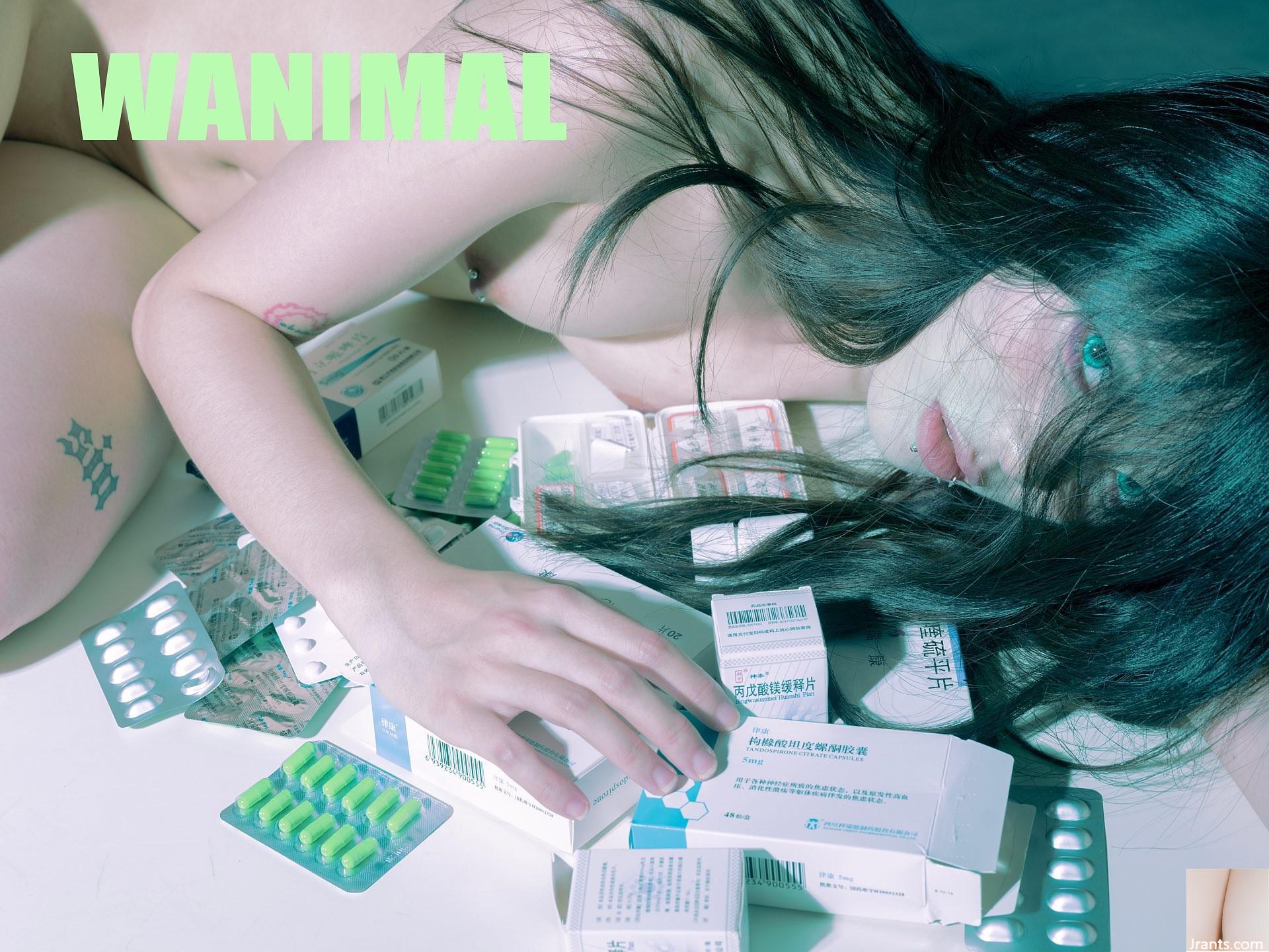 (Nhiếp ảnh gia)@WANIMAL912(159P) - Ảnh 132