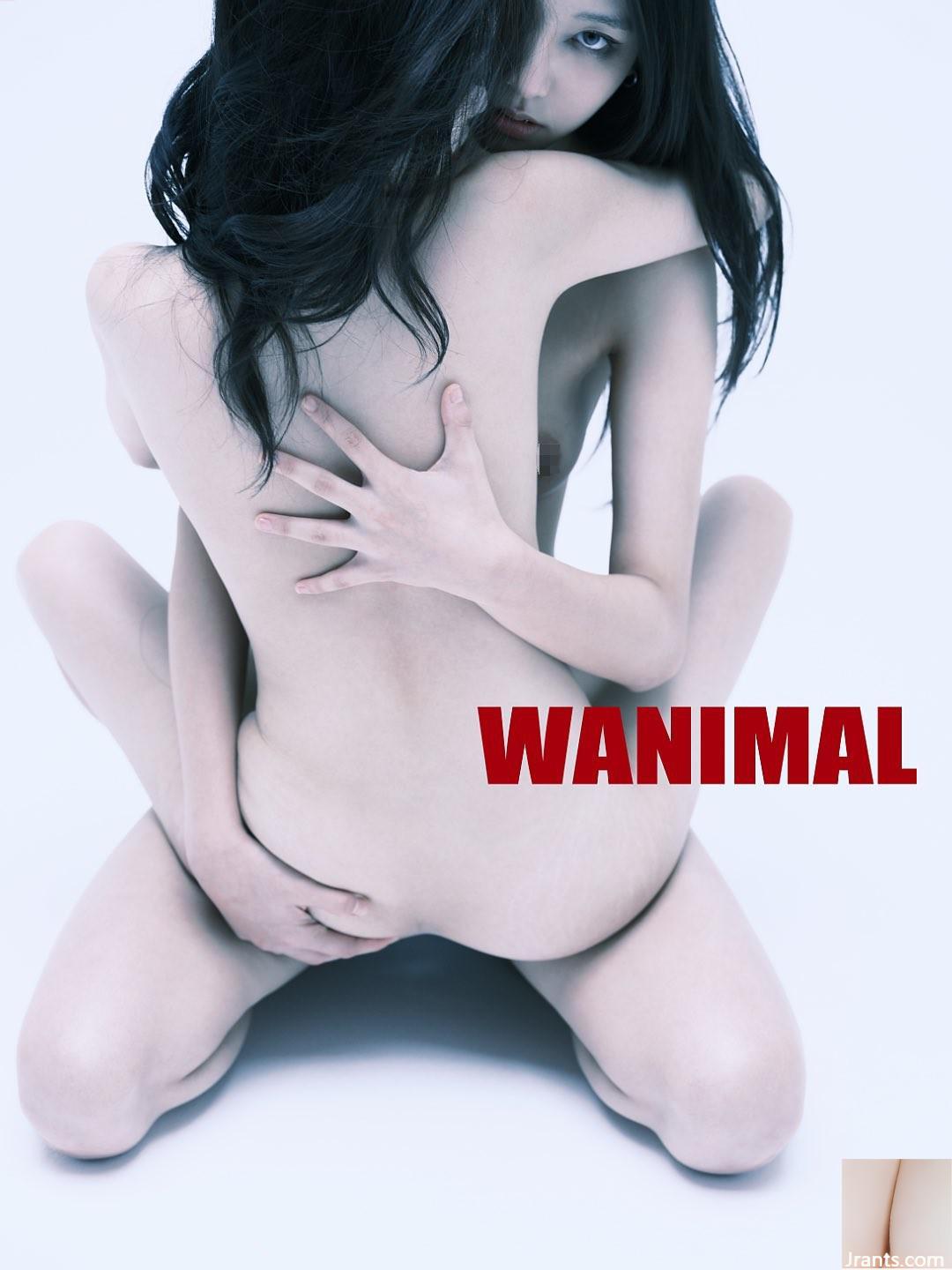 (Nhiếp ảnh gia)@WANIMAL912(159P) - Ảnh 159