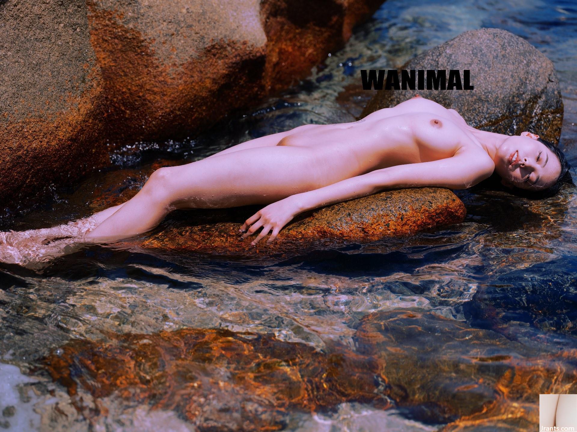 (Nhiếp ảnh gia)@WANIMAL912(159P) - Ảnh 5