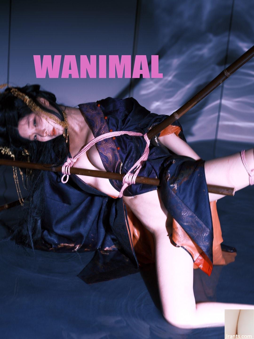 (Nhiếp ảnh gia)@WANIMAL912(159P) - Ảnh 65