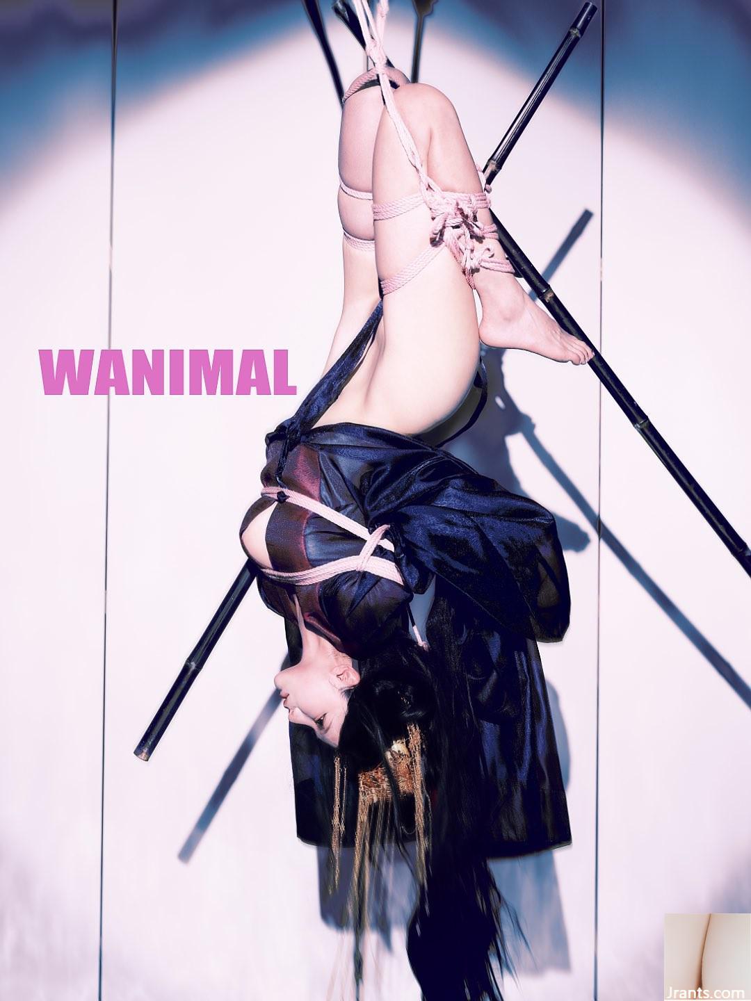 (Nhiếp ảnh gia)@WANIMAL912(159P) - Ảnh 68