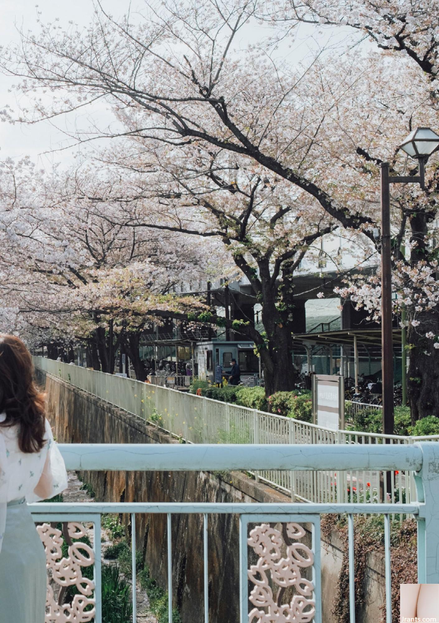 (Áo choàng Nhật Bản) Riri Nanamori《Torarechi》 (139P) - Ảnh 101