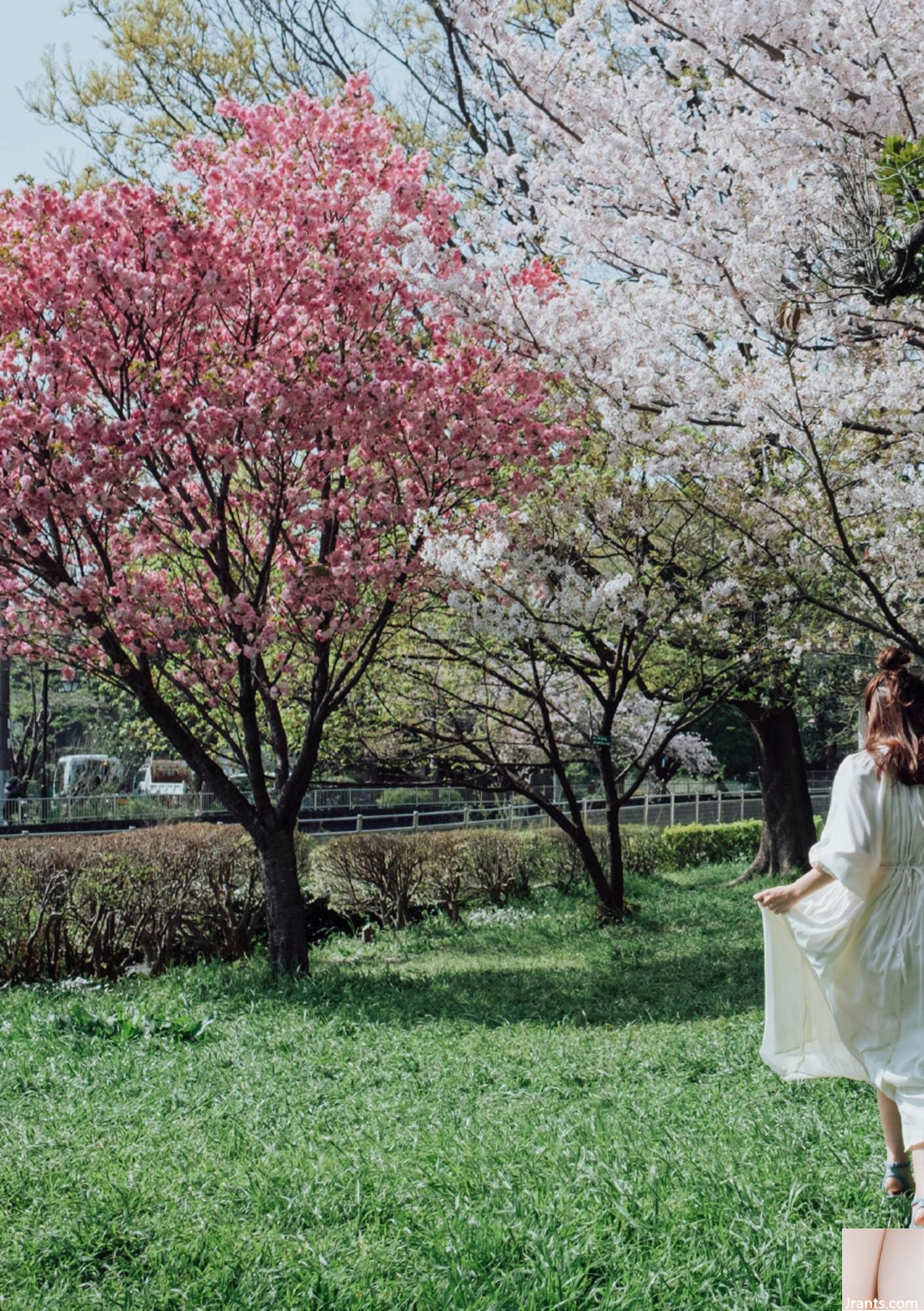 (Áo choàng Nhật Bản) Riri Nanamori《Torarechi》 (139P) - Ảnh 59