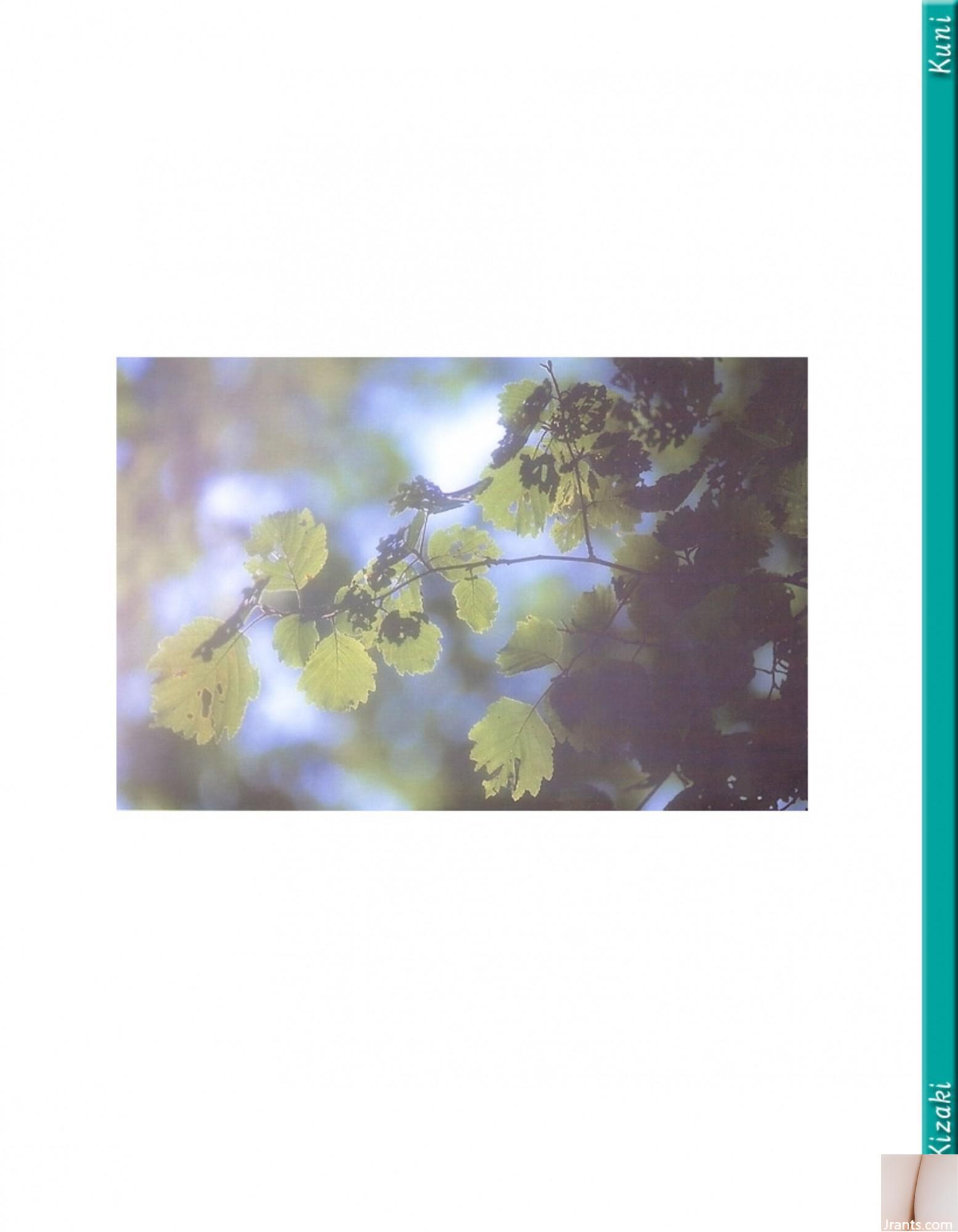 Yu Kisaki (Ảnh) (KUNI Scan) (199P) - Ảnh 127