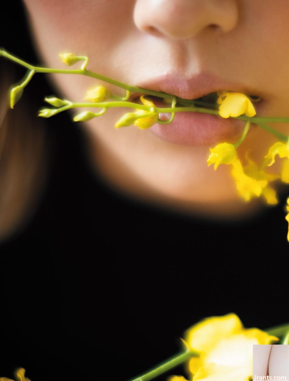 Minato “Lãng Mạn” - Ảnh 11