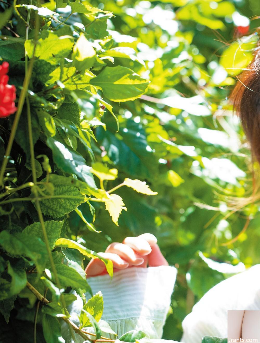 Minato “Lãng Mạn” - Ảnh 41