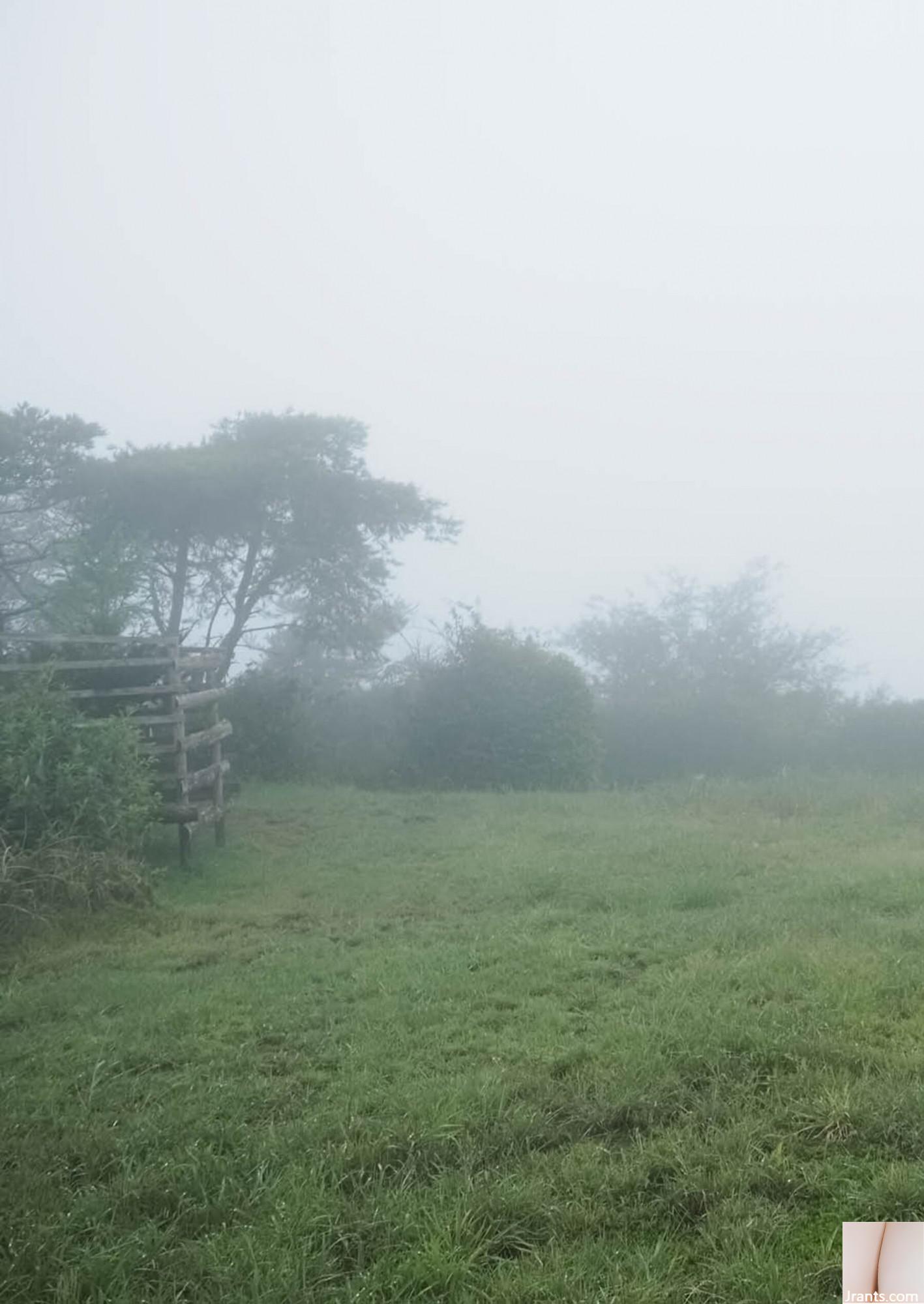 Tsubasa Mai (Photo) 《My Tăng-The Digital Special Edition》(120P) - Ảnh 68