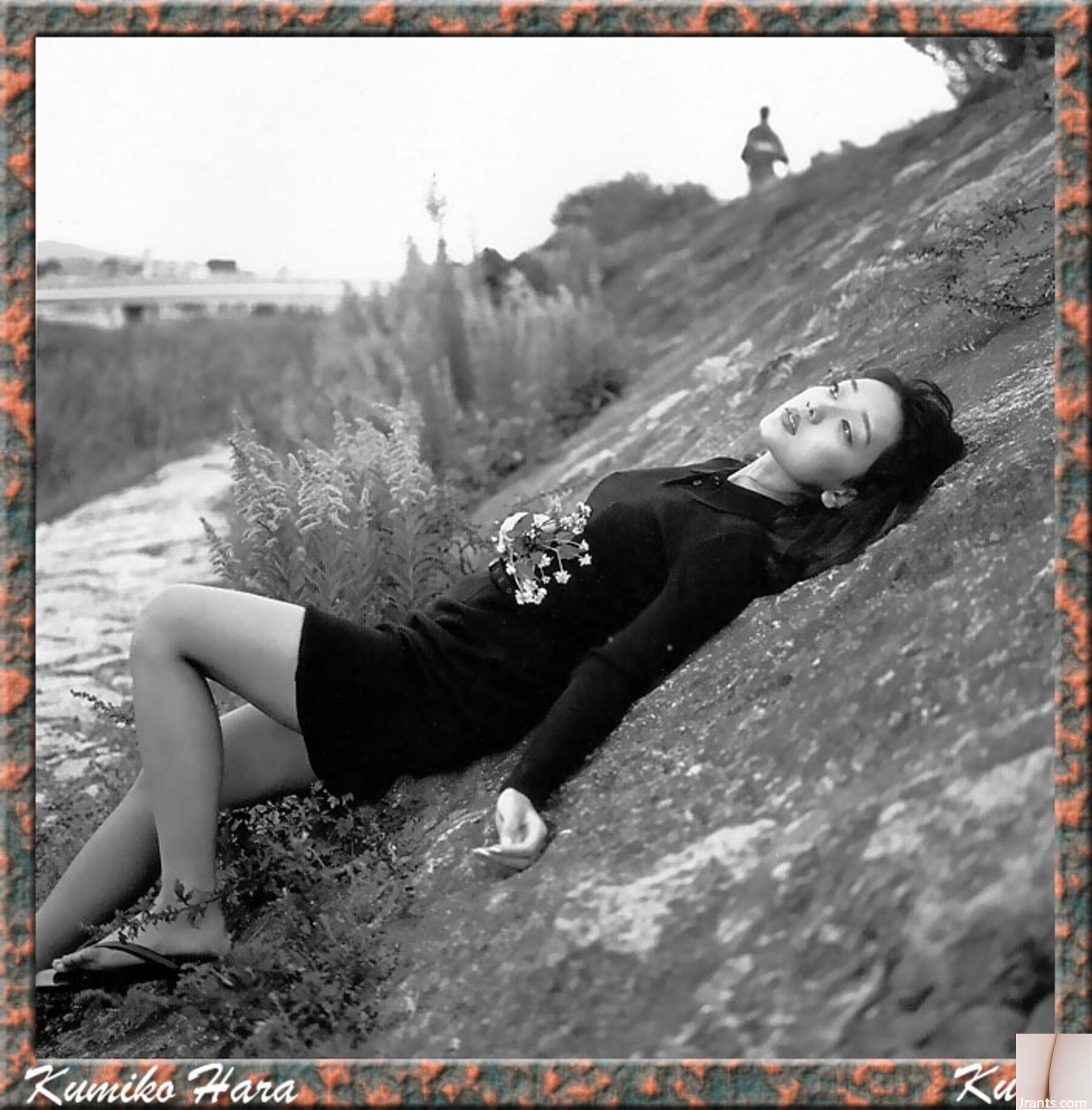 Kumiko Hara (Ảnh) (KUNIScan) (178P) - Ảnh 102