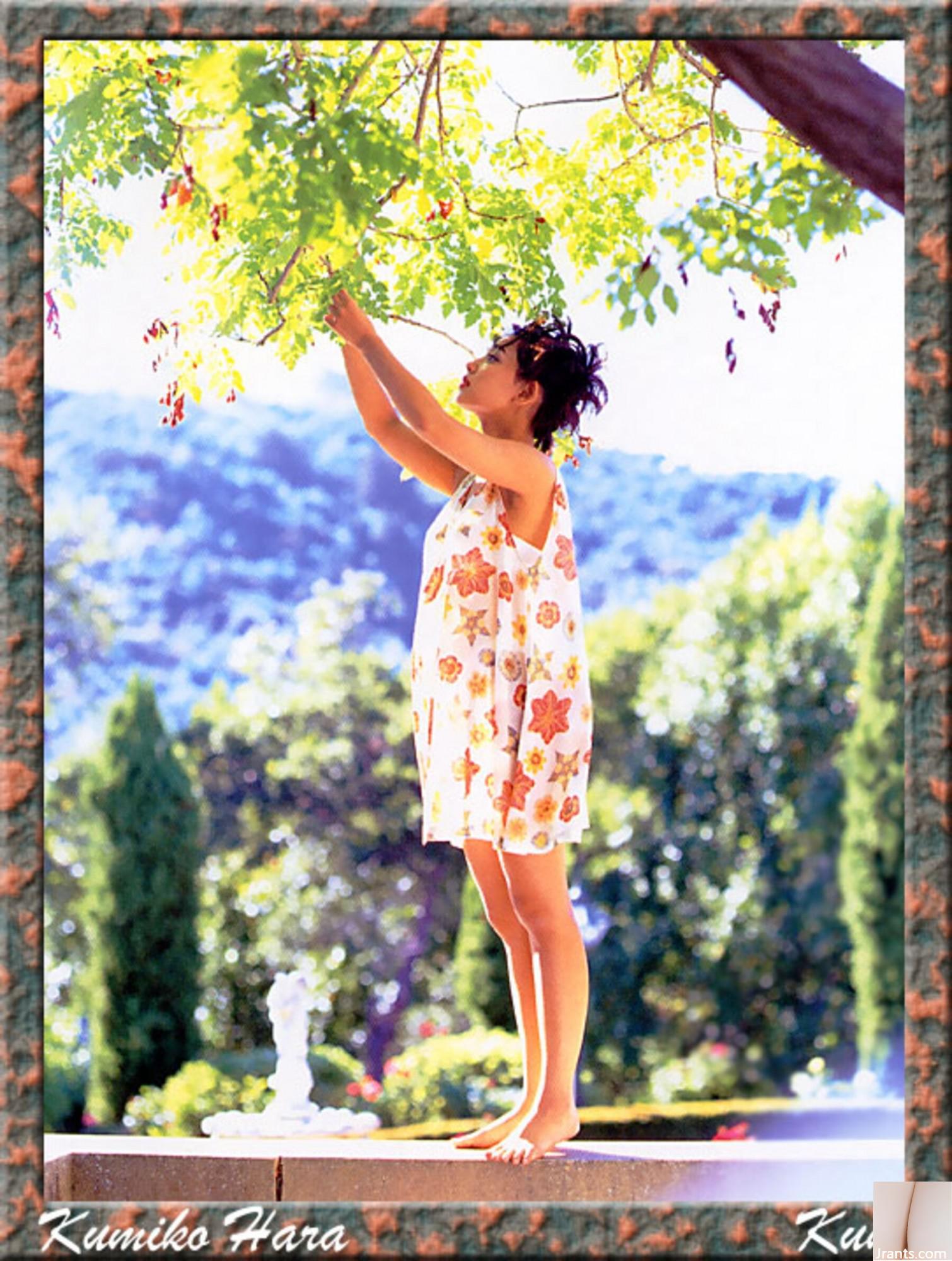 Kumiko Hara (Ảnh) (KUNIScan) (178P) - Ảnh 77