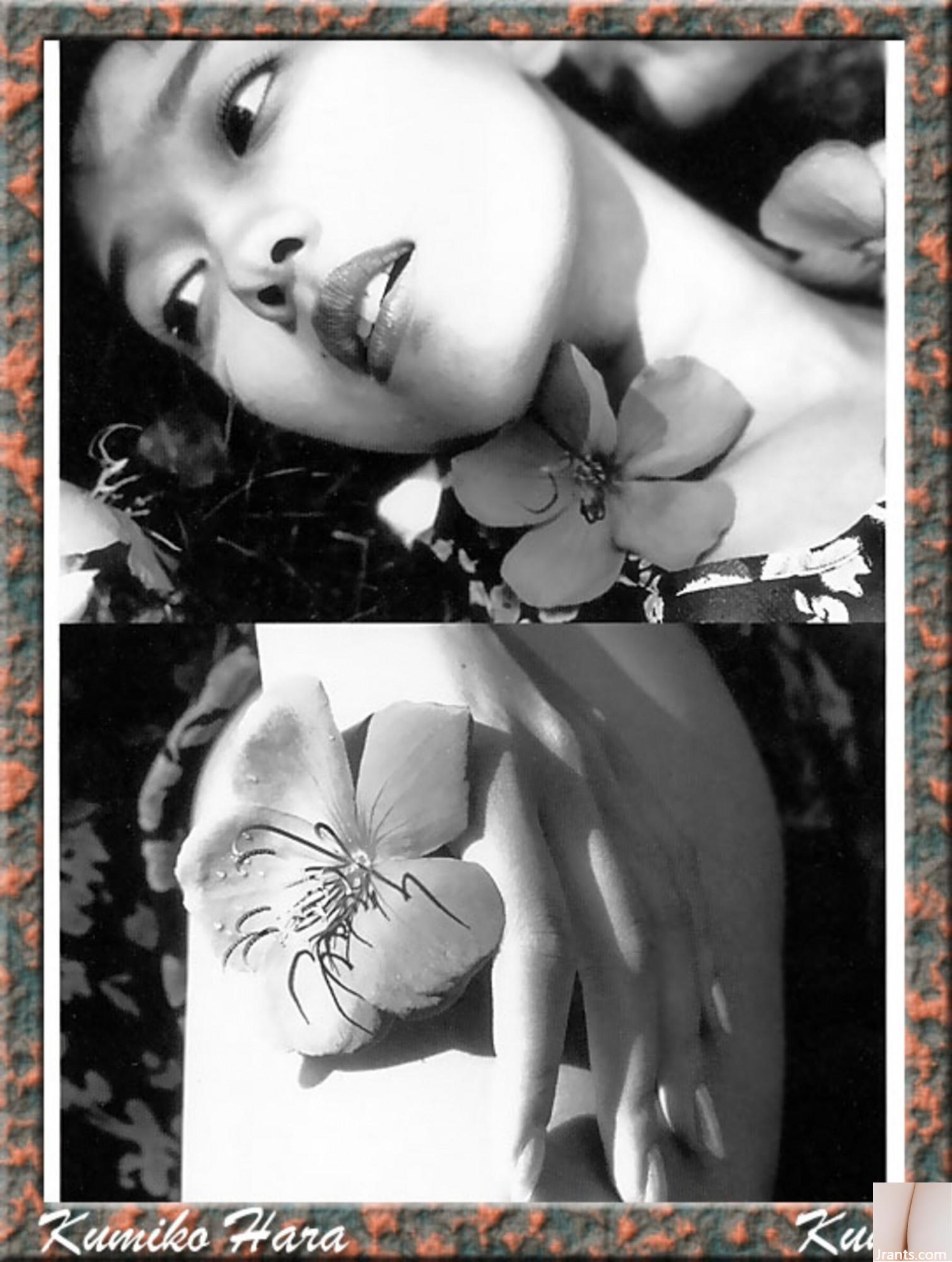 Kumiko Hara (Ảnh) (KUNIScan) (178P) - Ảnh 81