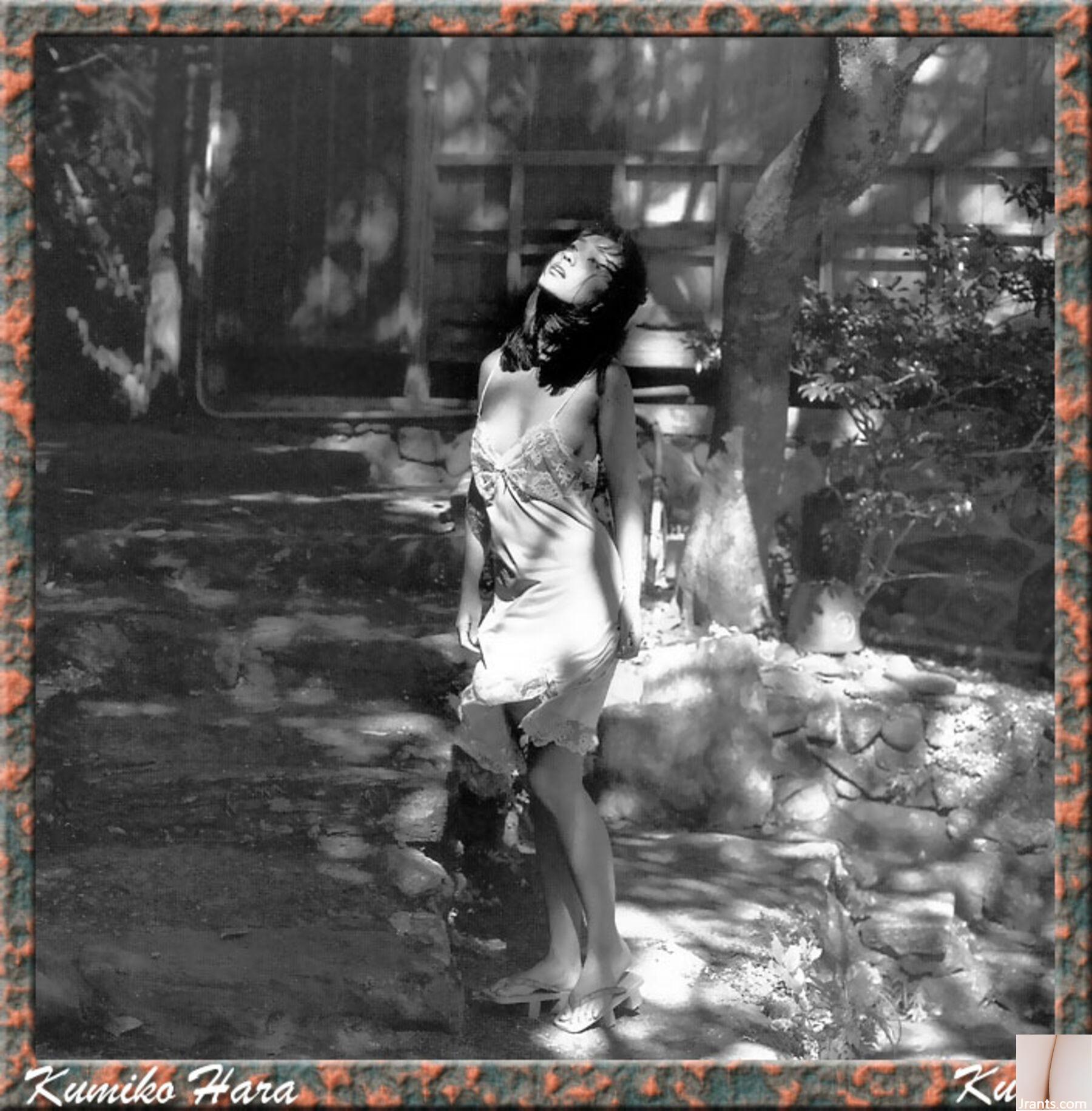 Kumiko Hara (Ảnh) (KUNIScan) (178P) - Ảnh 95