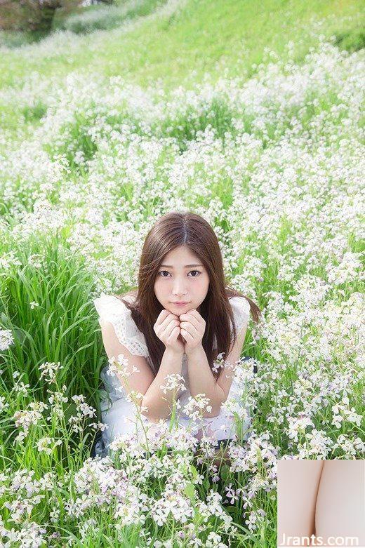 Haruka Kasumi (10P) - Ảnh 2